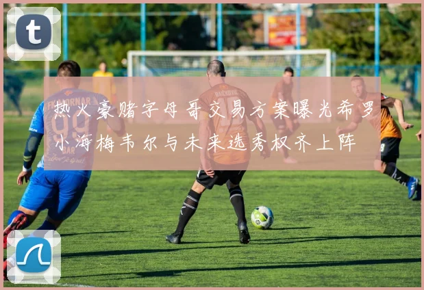 热火豪赌字母哥交易方案曝光希罗小海梅韦尔与未来选秀权齐上阵