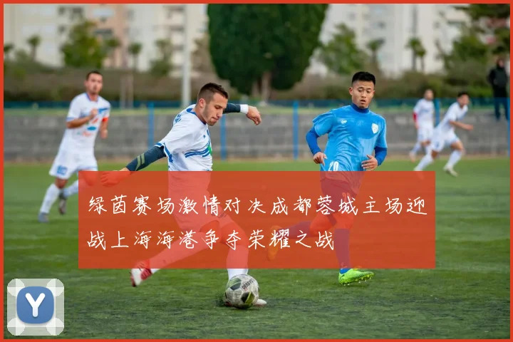 绿茵赛场激情对决成都蓉城主场迎战上海海港争夺荣耀之战